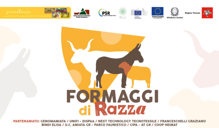 Next Technology è partner nel progetto “Formaggi di Razza” per la valorizzazione e il recupero economico della lana della Pecora Amiatina